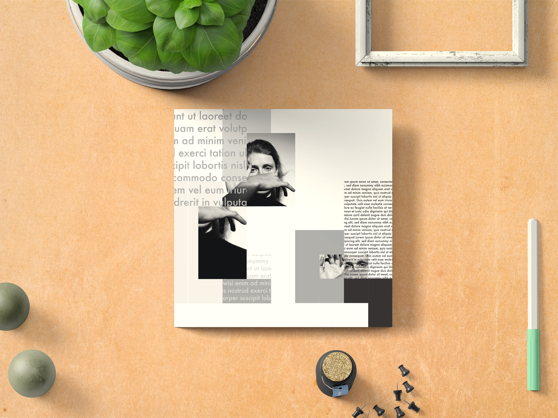 Catalog Design