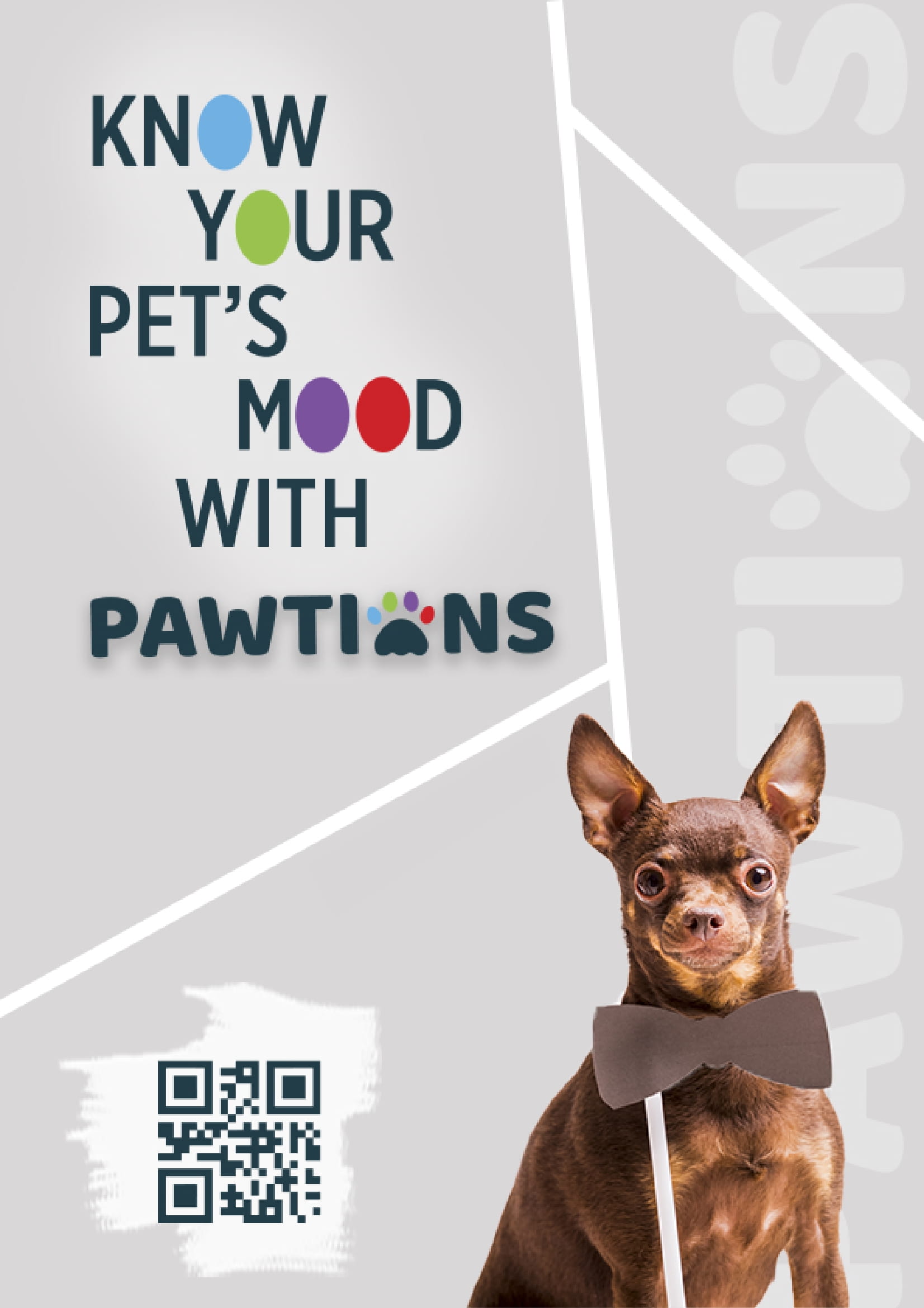 Pawtions — Brand Identity